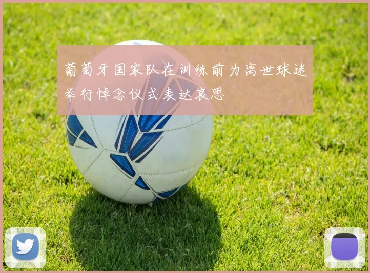 葡萄牙国家队在训练前为离世球迷举行悼念仪式表达哀思